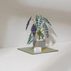 PUZZLE 3D PAPEL -KIT DIY plantita / ALOCASIA AMAZONICA  🌿