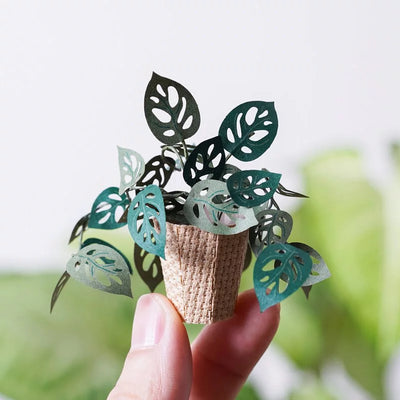 PUZZLE 3D PAPEL -KIT DIY /MONSTERA ADANSONII🌿