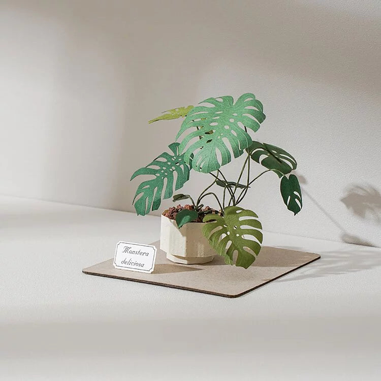 PUZZLE 3D PAPEL -KIT DIY /MONSTERA DELICIOSA🌿