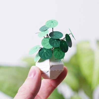 PUZZLE 3D PAPEL -KIT DIY / Whorled Pennywort 🌱