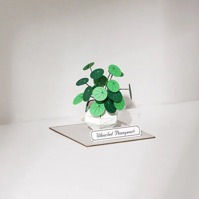 PUZZLE 3D PAPEL -KIT DIY / Whorled Pennywort 🌱