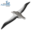 Puzzle 3D Eugy Dodoland- Royal Albatross (Albatros Real)