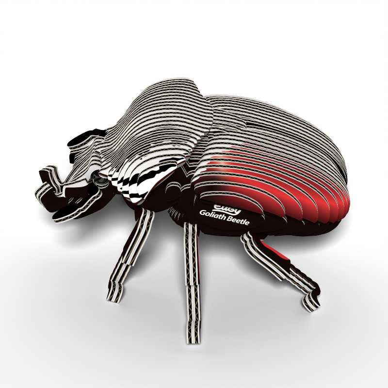 Puzzle 3D Eugy Dodoland - Escarabajo Goliat (Goliath Beetle) 🪲