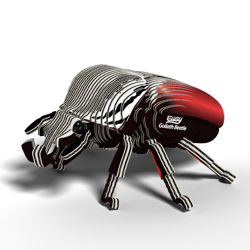 Puzzle 3D Eugy Dodoland - Escarabajo Goliat (Goliath Beetle) 🪲