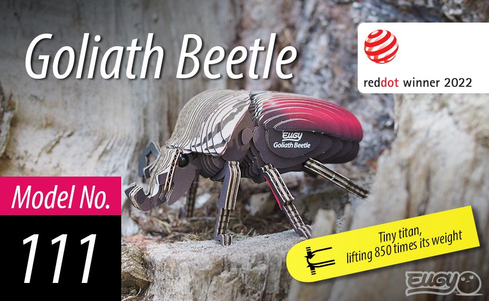 Puzzle 3D Eugy Dodoland - Escarabajo Goliat (Goliath Beetle) 🪲