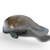Puzzle 3D Eugy Dodoland-Manatí 💧