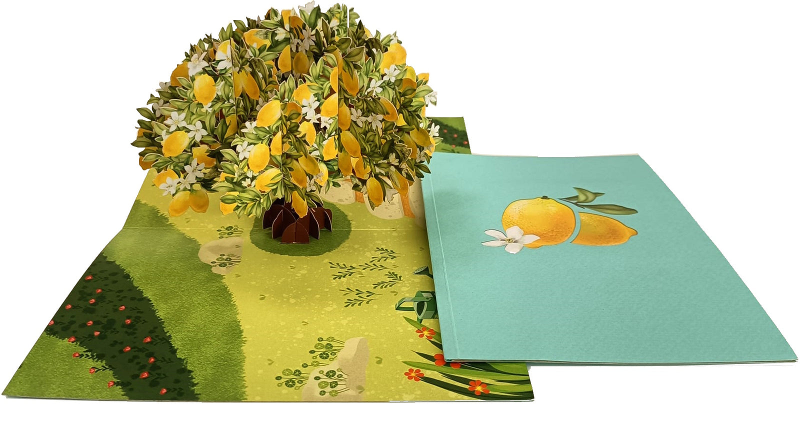 Tarjeta pop-up Kiriarte- Limonero 🍋