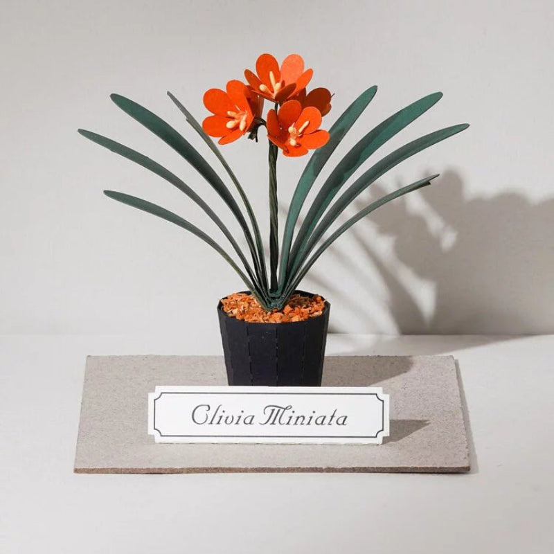 PUZZLE 3D PAPEL -KIT DIY Plantita / CLIVIA MINATA 🎋
