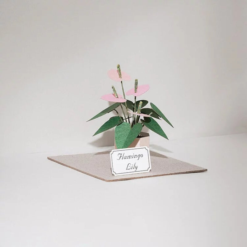 PUZZLE 3D PAPEL -KIT DIY PLANTITA / FLAMINGO LILY 🌷🌱