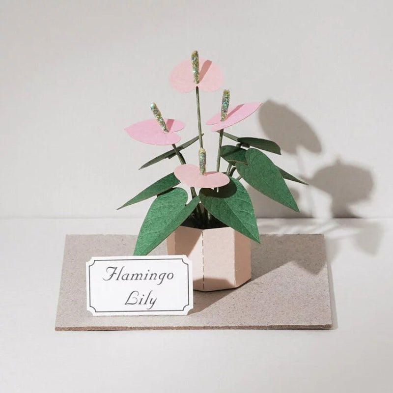 PUZZLE 3D PAPEL -KIT DIY PLANTITA / FLAMINGO LILY 🌷🌱