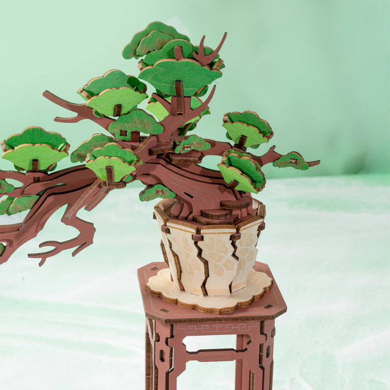 PUZLE 3D MADERA ROBOTIME - PINE BONSAI TG510 🌳