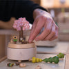 Pase Digital - Experiencia Taller DIY caja musical Wooderful Life ®
