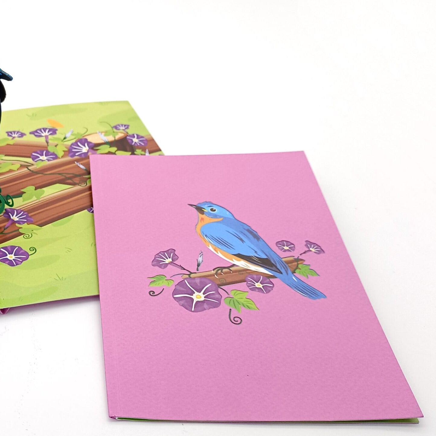 Tarjeta pop-up Kiriarte- Pájaro Azul 🪽🔵