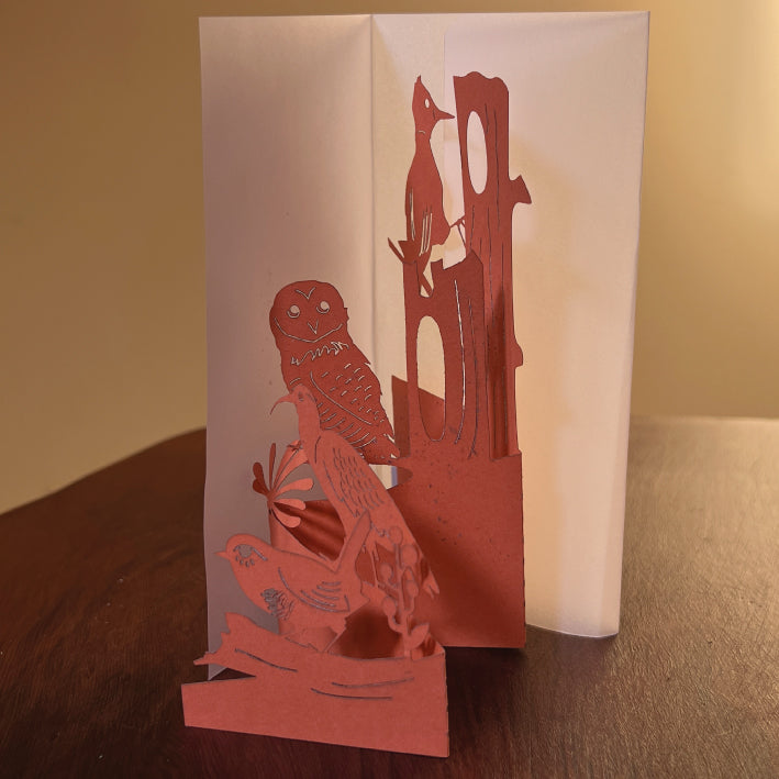 Tarjeta pop up Papelúdico Plisado acordeón - Pajaritos 🐦‍⬛🦉🇨🇱