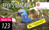 Puzzle 3D Eugy Dodoland- Guacamayo de Spix (Spix´s Macaw) 🦜🔵