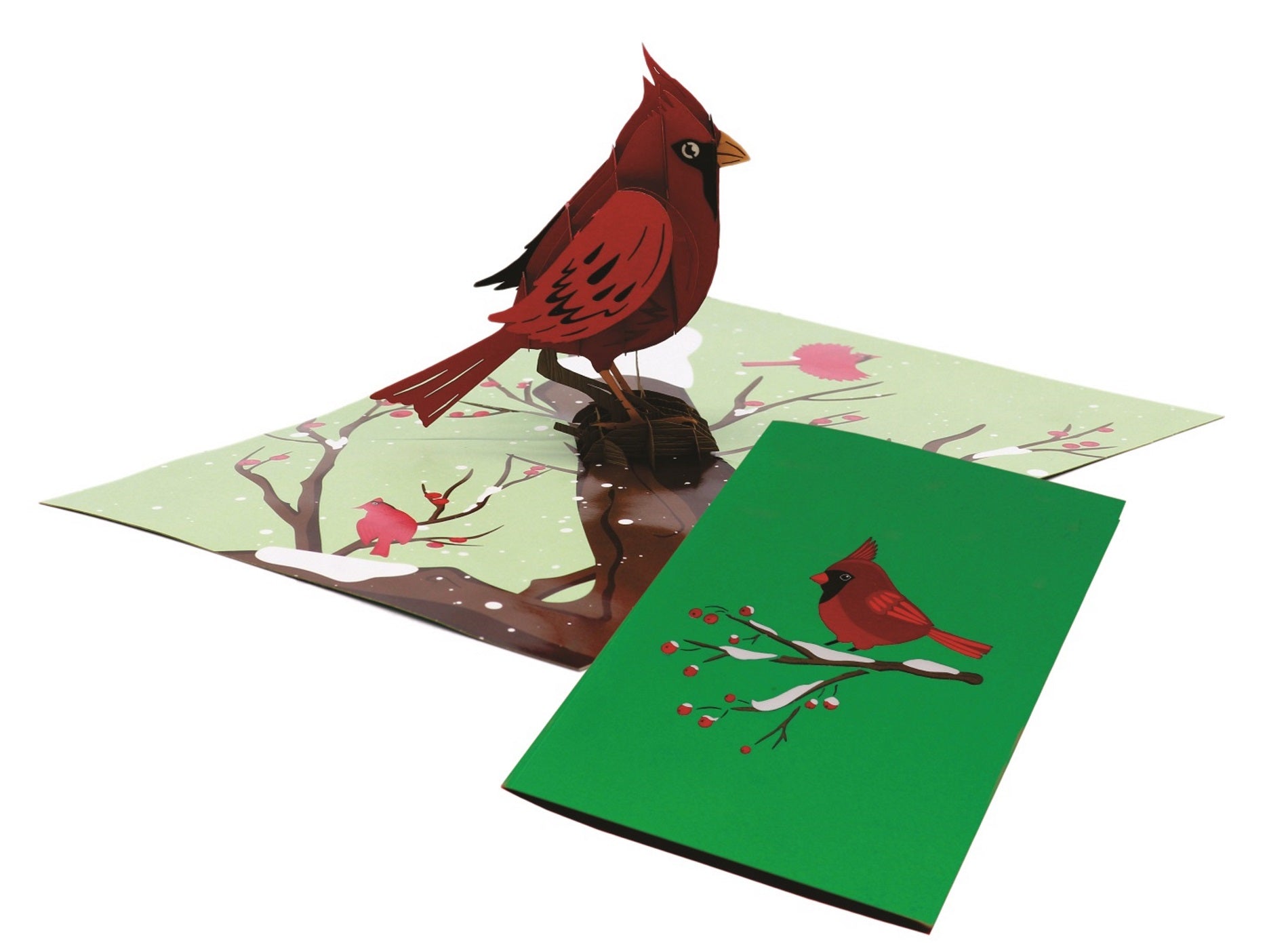 Tarjeta pop-up Kiriarte- Pájaro Cardenal 🪽♥️
