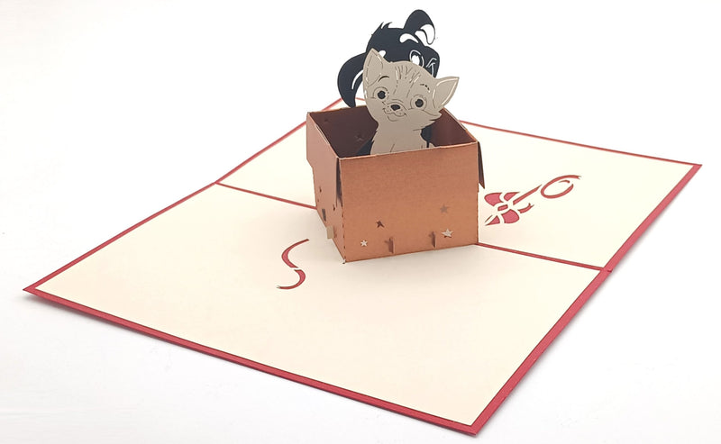Tarjeta pop-up Kiriarte- El Gatito y el Cachorro ♥️🐱🐶