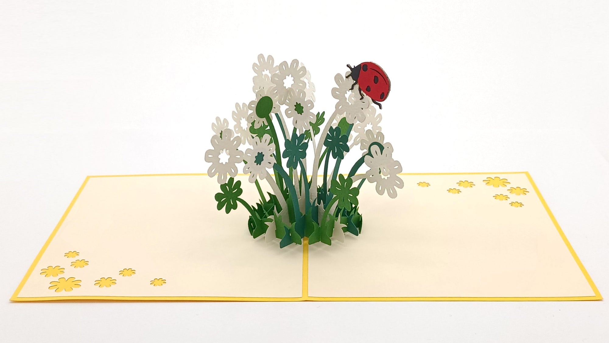 Tarjeta pop-up Kiriarte- Margaritas 🌼🏵️