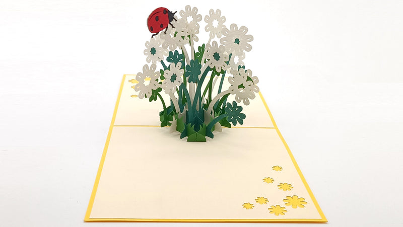 Tarjeta pop-up Kiriarte- Margaritas 🌼🏵️