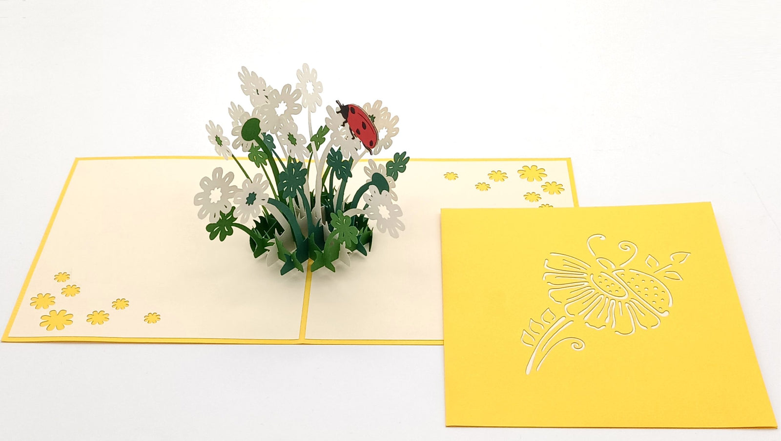 Tarjeta pop-up Kiriarte- Margaritas 🌼🏵️