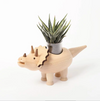 DECO Wooderful Life - Mini Macetero Triceratops