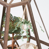 PUZZLE 3D PAPEL -KIT DIY  / FIDDLE LEAF FIG & CAT