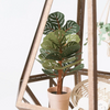 PUZZLE 3D PAPEL -KIT DIY  / FIDDLE LEAF FIG & CAT