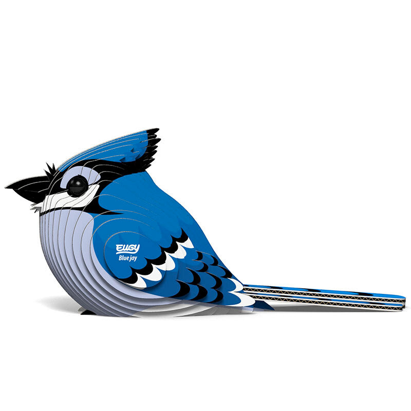 Puzzle 3D Eugy Dodoland -Blue Jay (arrendajo azul) 🐦‍⬛