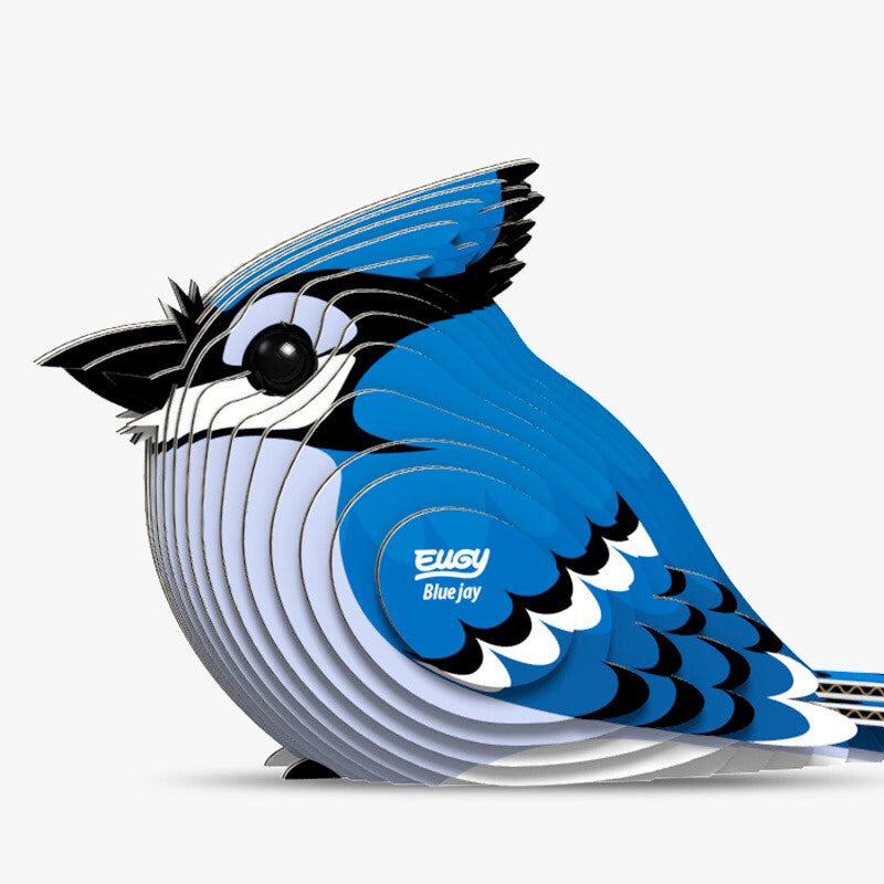 Puzzle 3D Eugy Dodoland -Blue Jay (arrendajo azul) 🐦‍⬛