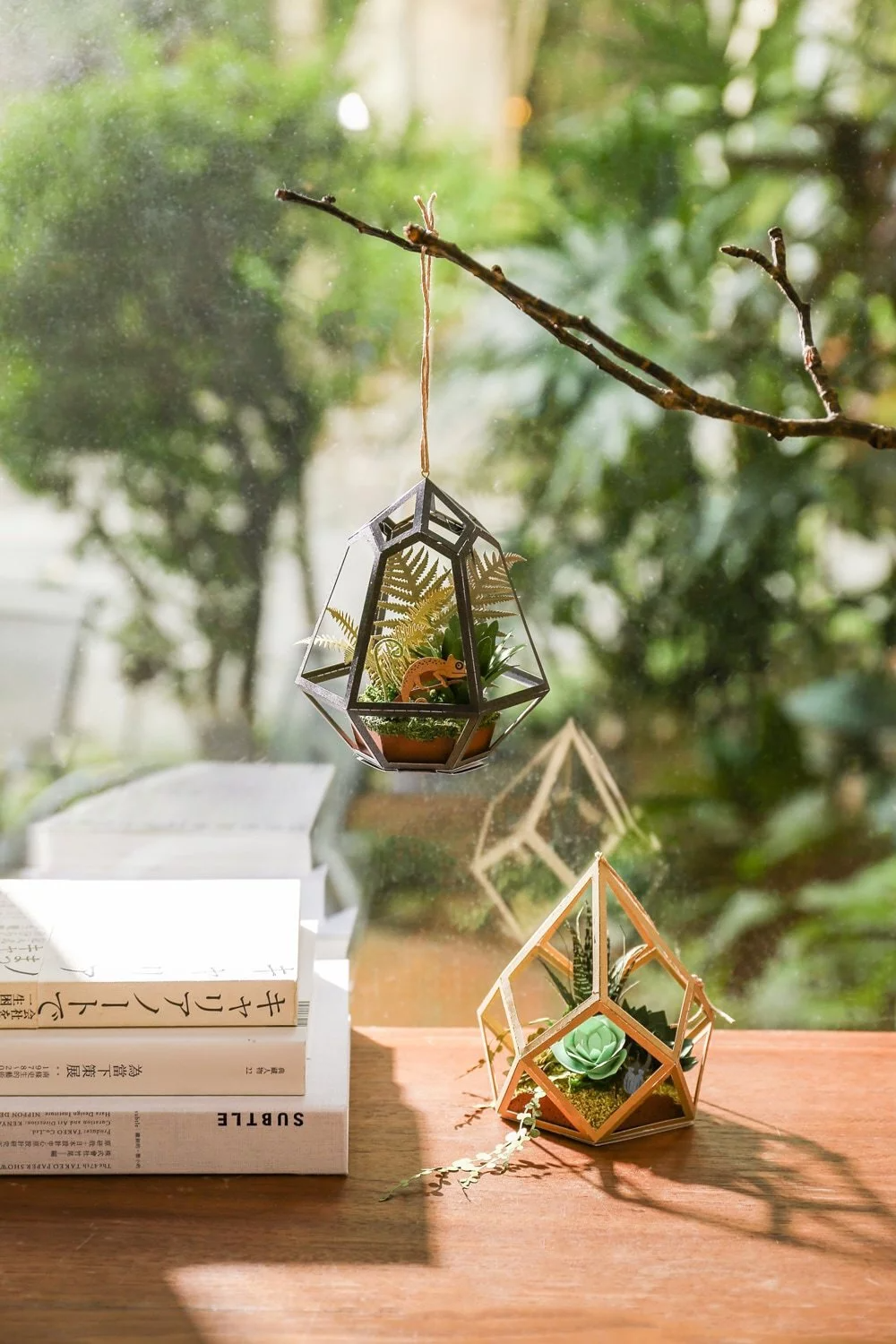 Puzzle 3D papel -KIT  DIY  / FERN & CHAMELEON